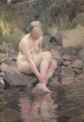 Dagmar (nn03), Anders Zorn